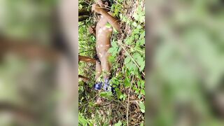 Village dehati lover nai jungle kiye chudai